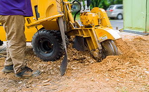 Stump Removal